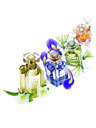 Marie Claire Beauty Buy of the Day: L\\\'Occitane Notre Flore Eau de Parfums