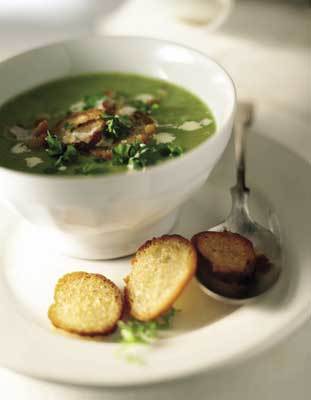 soup