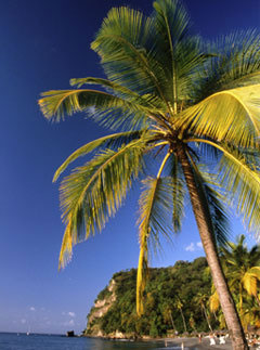 St Lucia