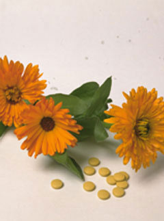 Herbal medicine