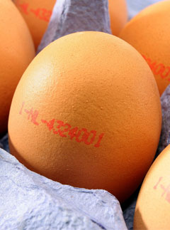 10 Best: Food to beat the blues: Eggs