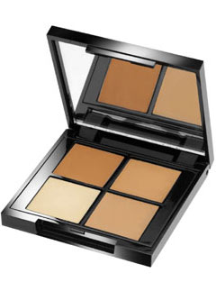 Organic Glam concealer palette