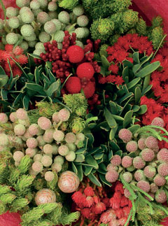 Eco Flowers BIG