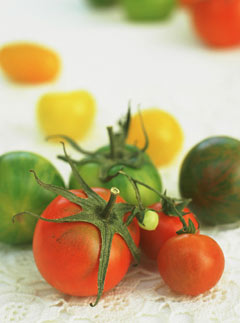 Tomatoes