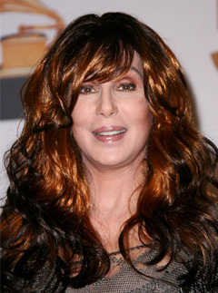 Cher at the 50th Annual Grammy Awards