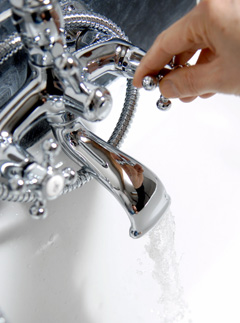Turn your grey water green