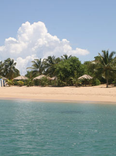 Swim with turtles on Tobago Cays