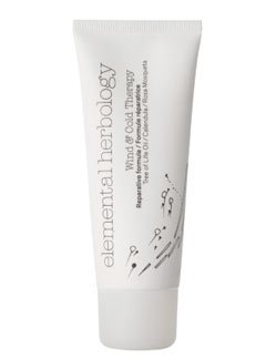 Elemental Herbology Wind and Cold Therapy
