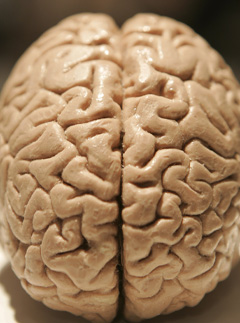 Marie Claire News: Brain