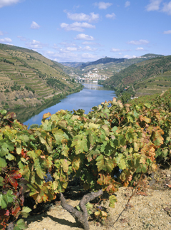 Douro, Portugal, Travel, Marie Claire