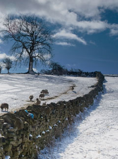 Snow Scene, news, Marie Claire