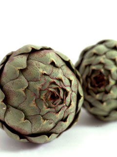 Artichoke
