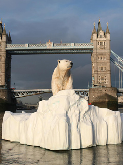 Marie Claire world news: Polar bear