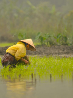 Vietnam, ethical living, Marie Claire