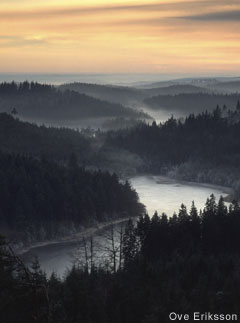 Dalsland Region