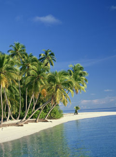 Maldives LP - On Location - Maire Claire