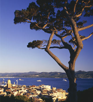 French-Riviera