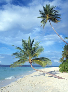 Winter sun destinations - Maldives - Travel - Marie Clarie