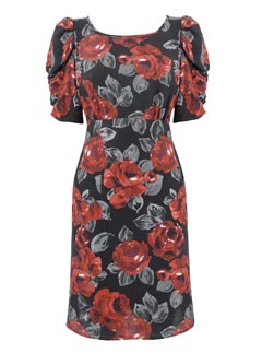 Peacocks rose bold shoulder dress
