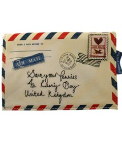Paper Plane Pennies Purse By Disaster