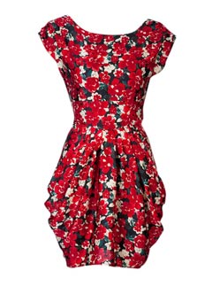 Joy Red Rose dress