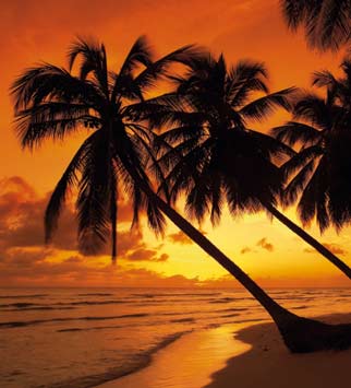 Sunny beach, Barbados 