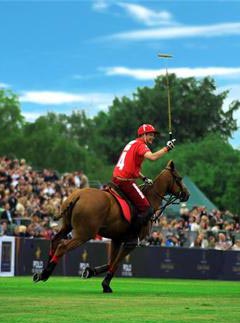 Polo in the Park