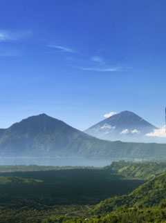 Best Holidays for 2011