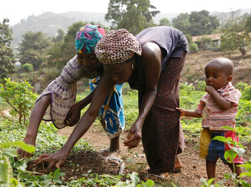 ?42? Women of Sierra Leone 