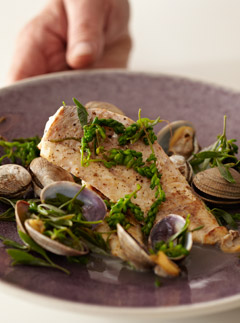 Fillet of Gurnard recipe