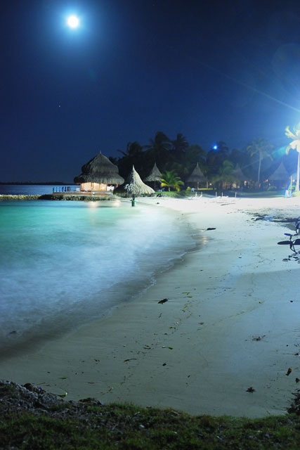 Beach by moonlight