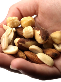 Hand of nuts (LL)