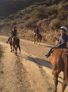 Victoria Beckham horseriding - Marie Claire - Marie Claire UK