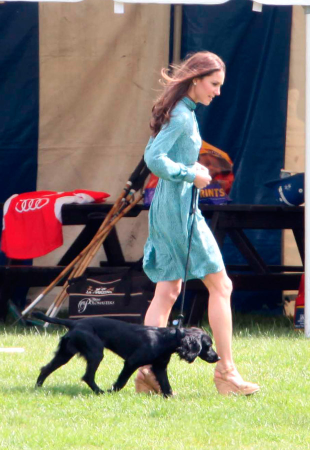 Prince William, Kate Middleton, Prince Harry and Lupo - Duchess of Cambridge - Marie Claire - Marie Claire UK