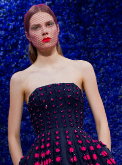 Christian Dior Haute Couture Autumn/Winter 2012