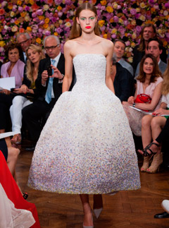 Christian Dior Haute Couture Autumn/Winter 2012