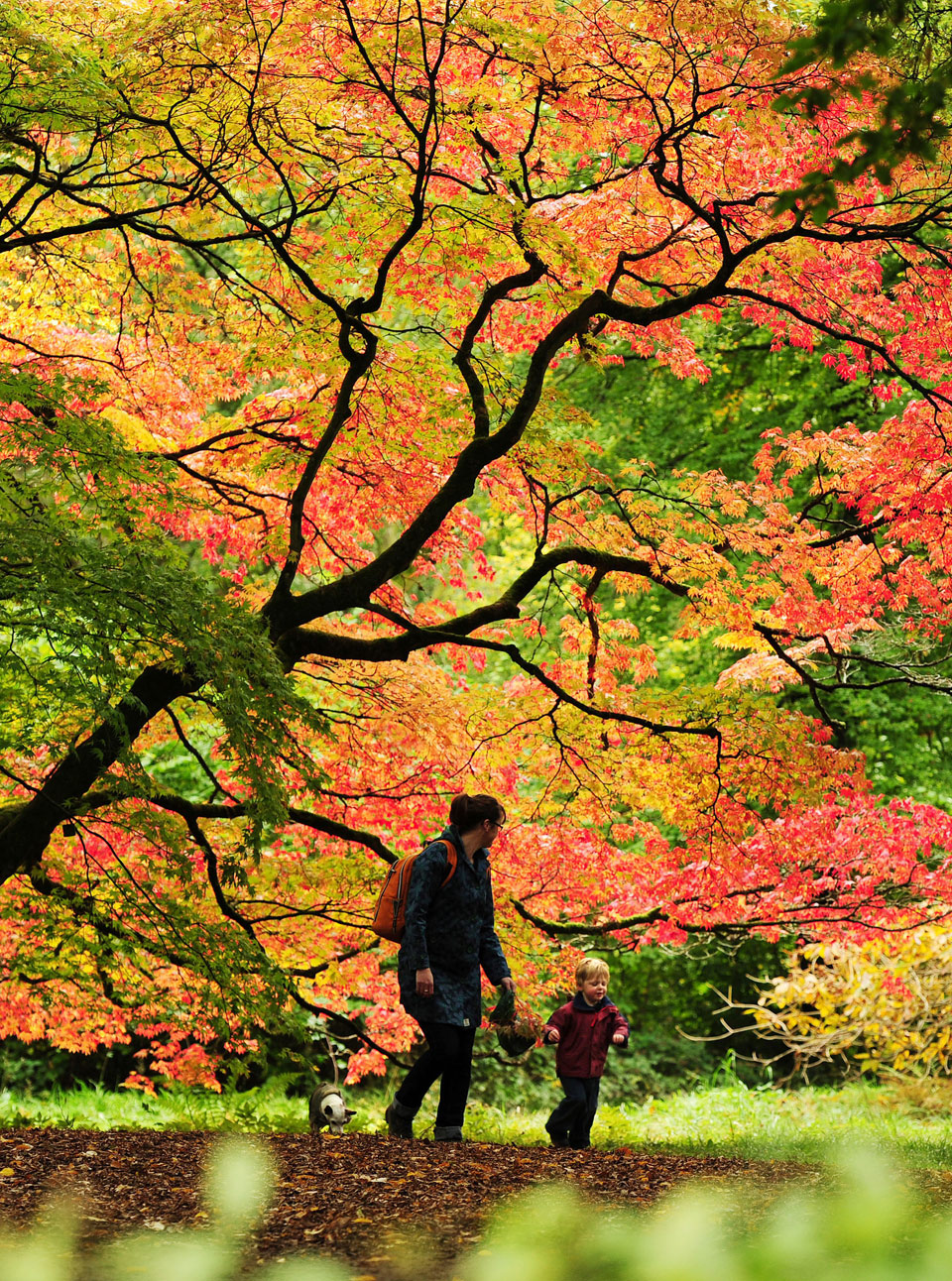 Autumn