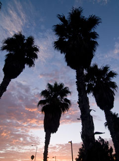 California