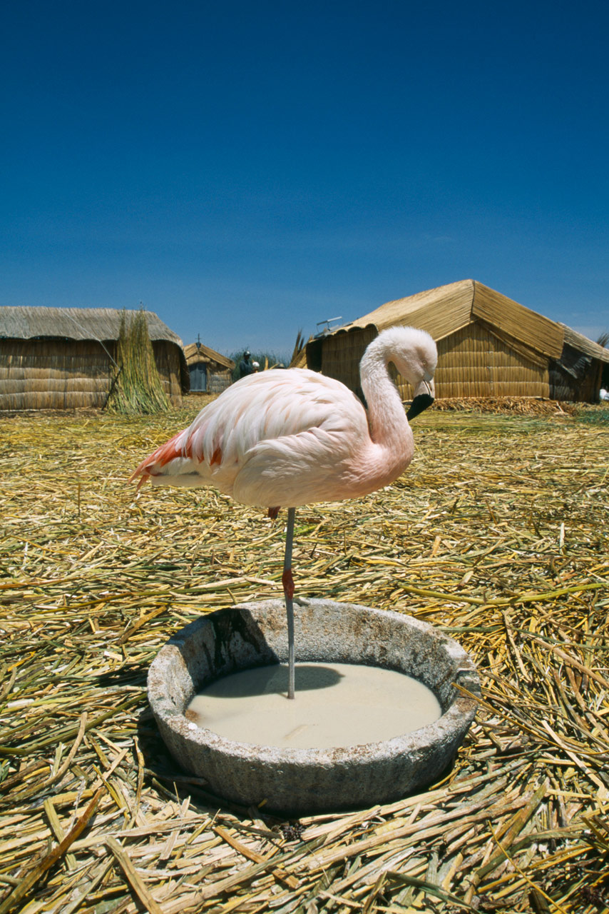 Uros Floating Islands