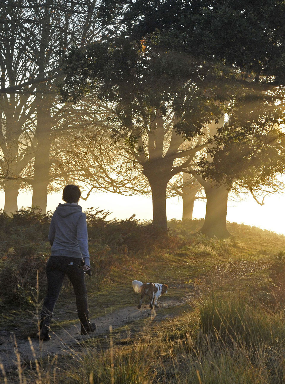Woman-walking-dog