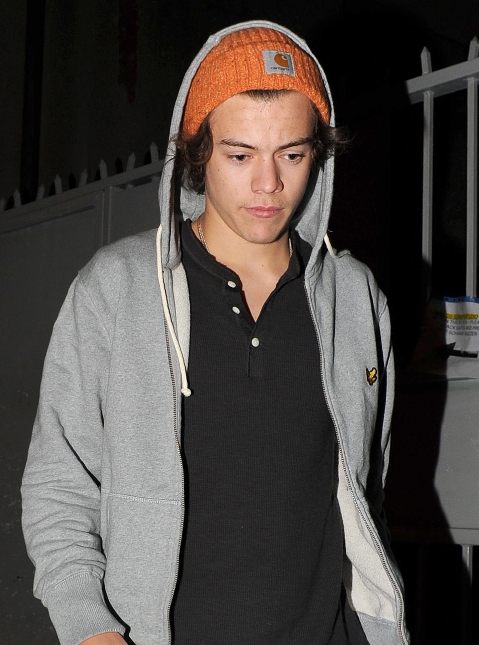 Harry Styles 