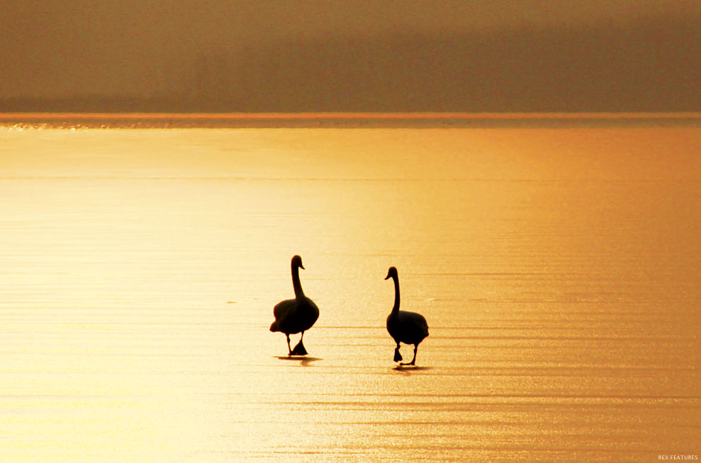 Yellow River