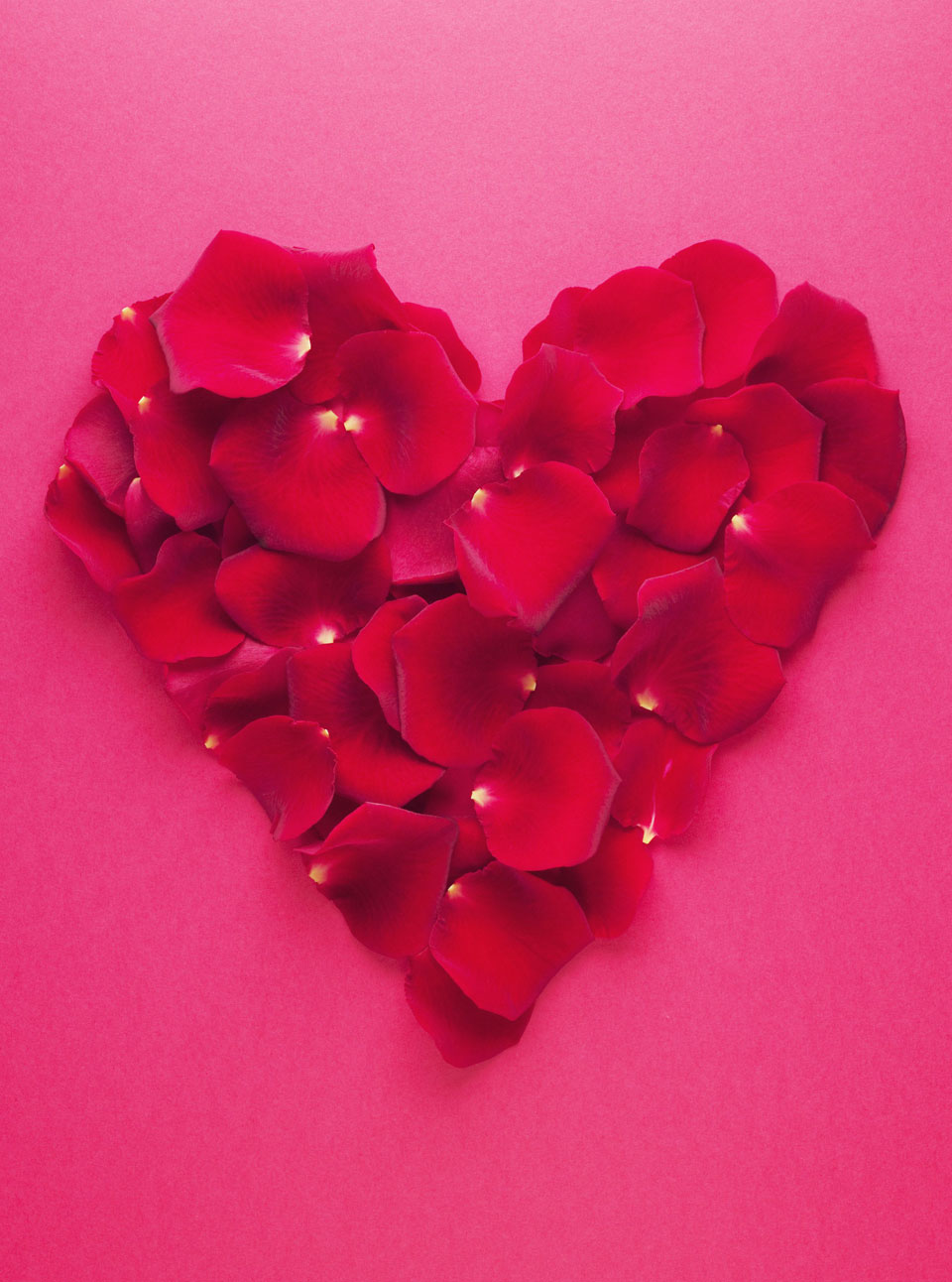 Valentine's Day