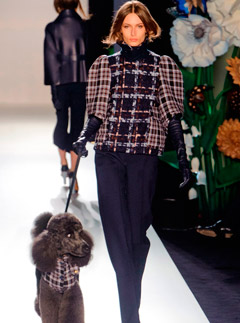Mulberry