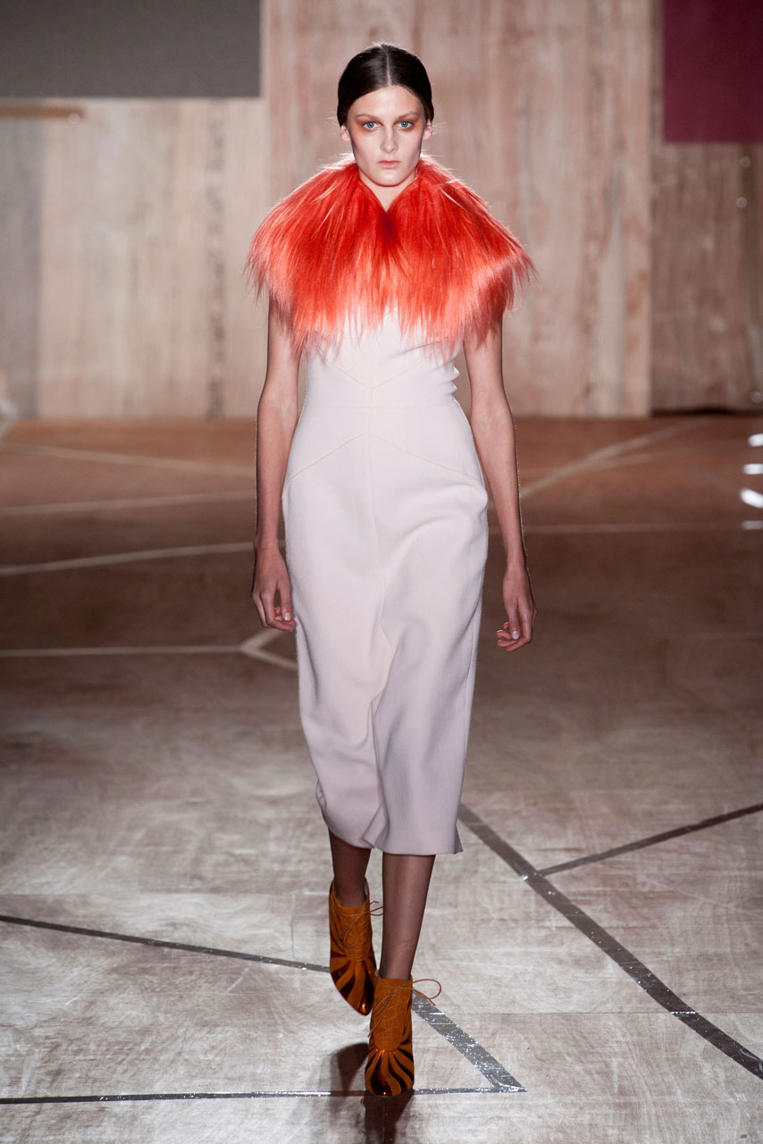 Roksanda Ilincic A/W 2013