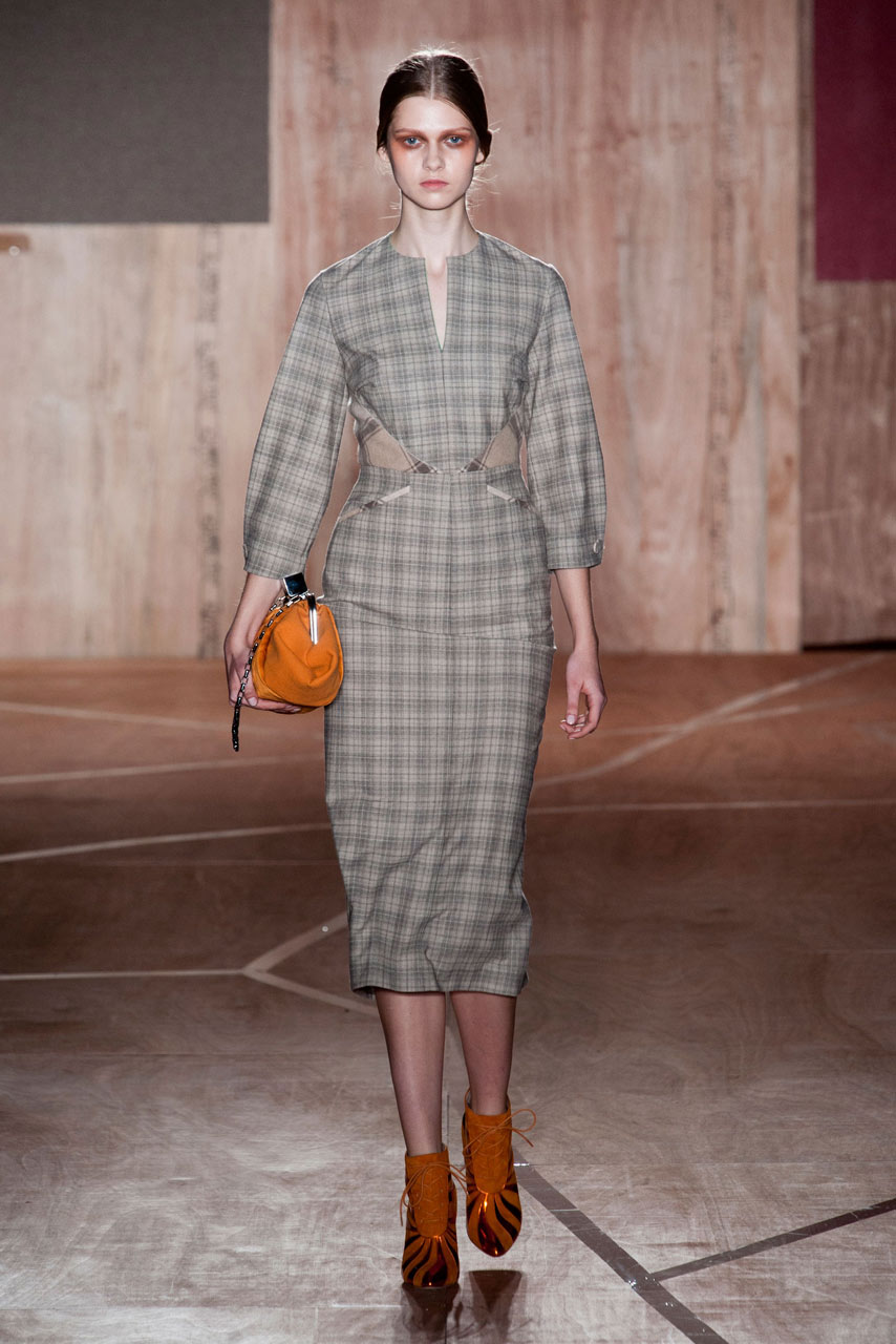 Roksanda Ilincic A/W 2013