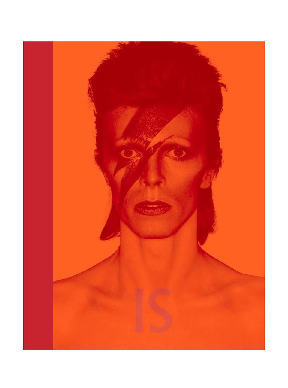 David Bowie Is - The Exhibition Book 