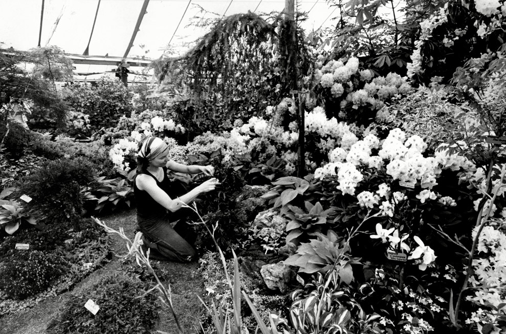 RHS Chelsea Flower Show