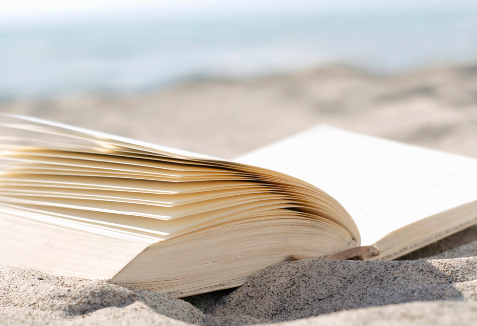 Holiday books