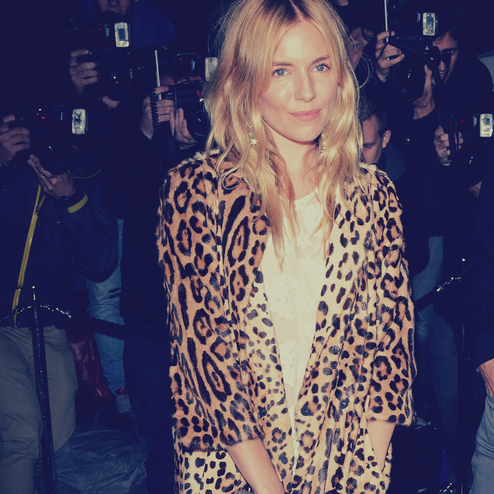 Animal Print